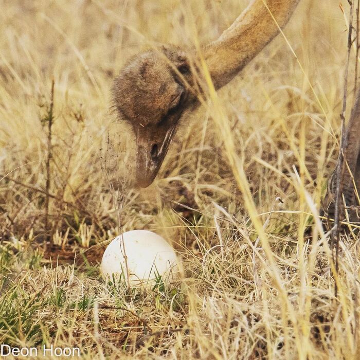 Вся эта тяжёлая работа ради ОДНОГО?
