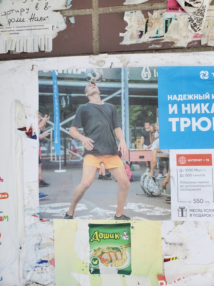 ����������