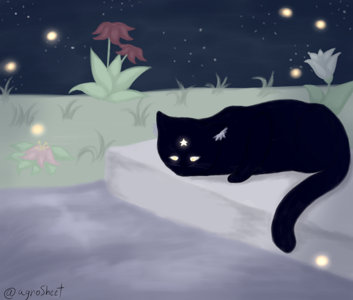 Moon cat created by the song