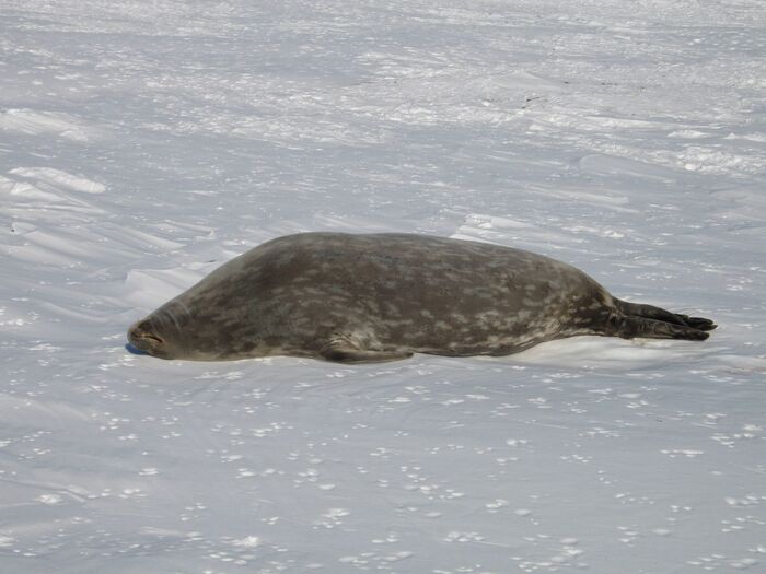 Мое желание о времяпровождении