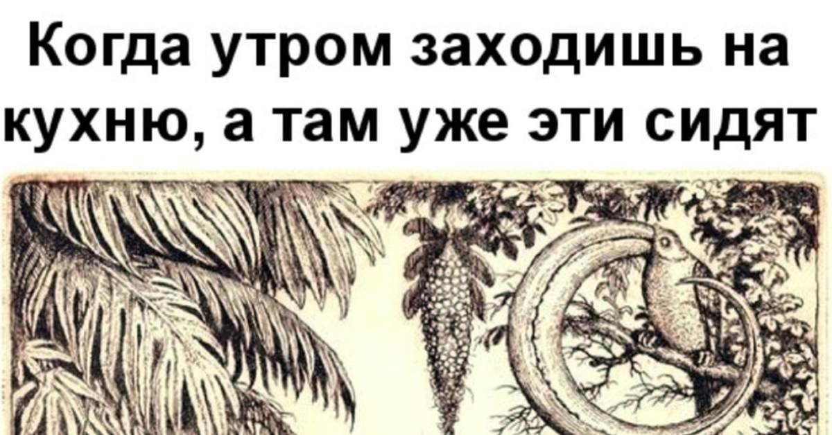 Тятя тятя наши притащили мертвеца