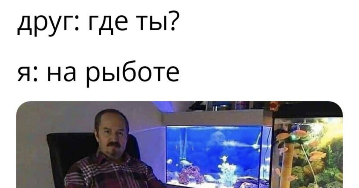 Рыбокоп получается | Пикабу