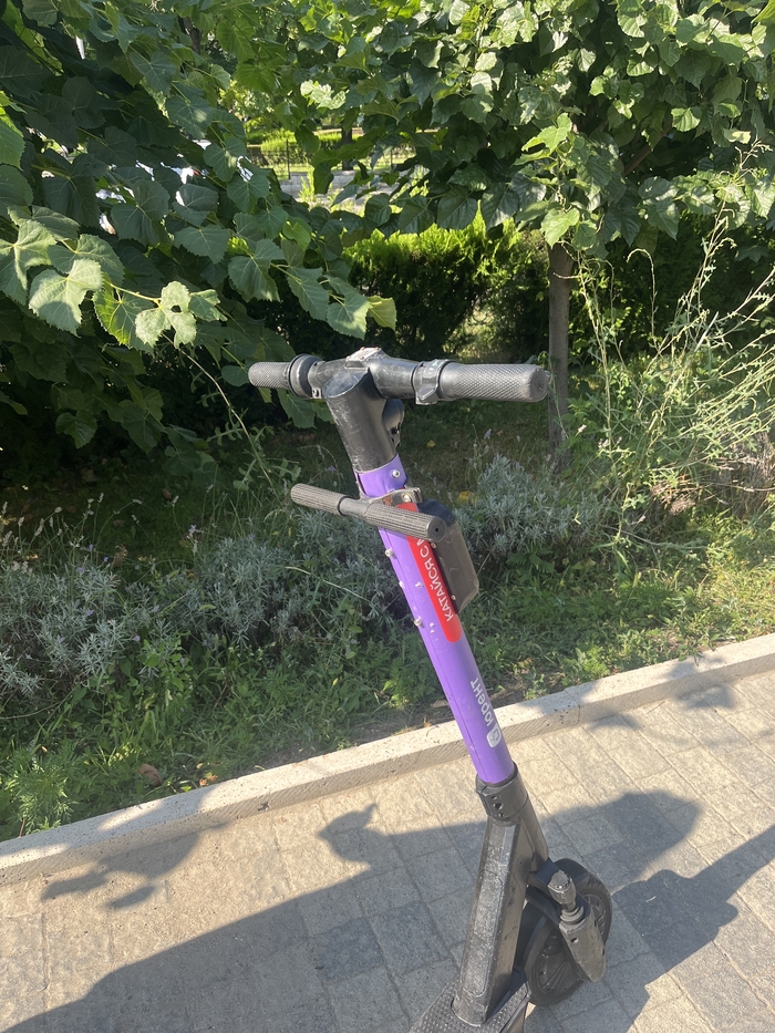 Петушеринг | Пикабу