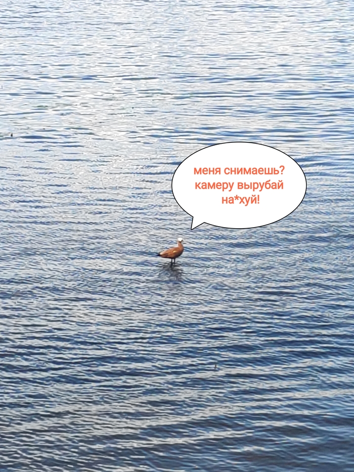 � � ���-�� ��� ���� �� ����??)