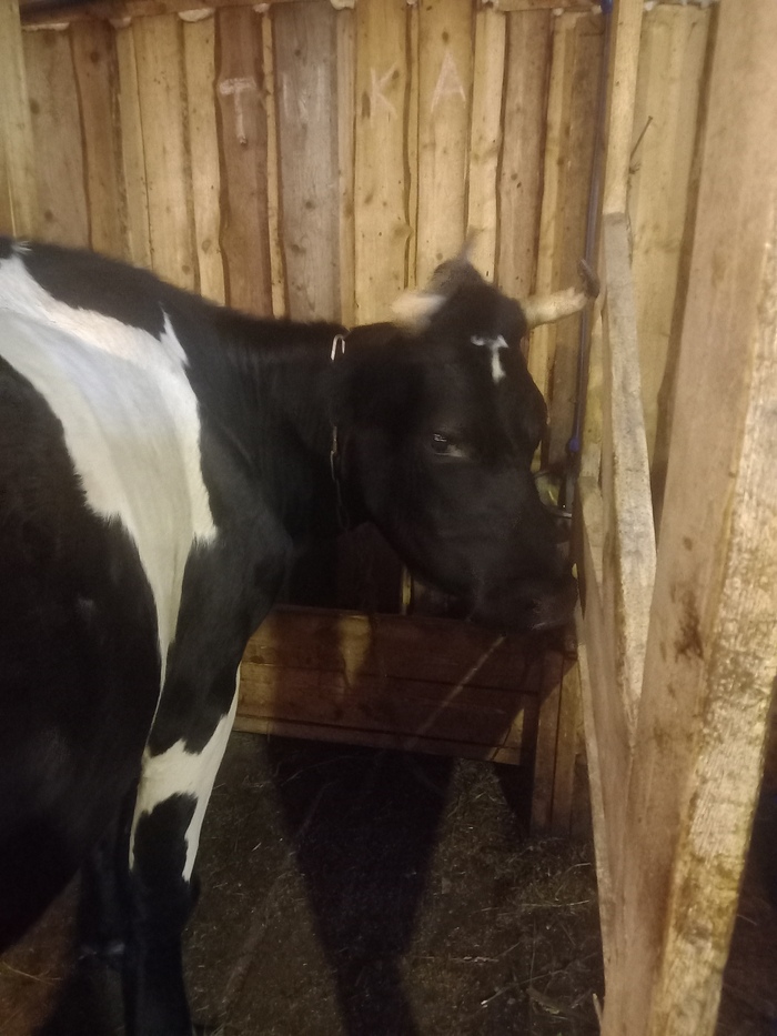 Senoseč. Vesnice, Vesnice, Blog, Život, Blogy online, Senoseč, Zemědělství, Dlouhý příspěvek