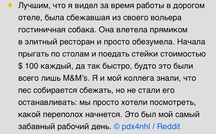 Хороши работнички