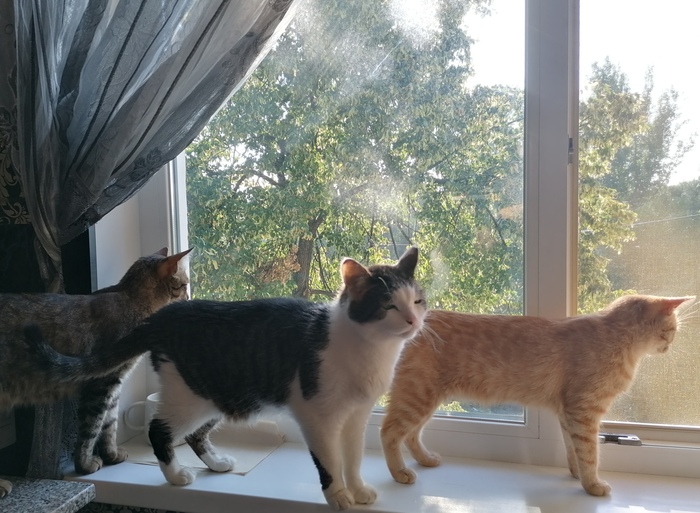 Доброе утро!