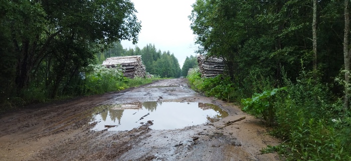 Путешествие Санкт-Петербург - Мшинская Велопрогулка, Велосипед, Длиннопост