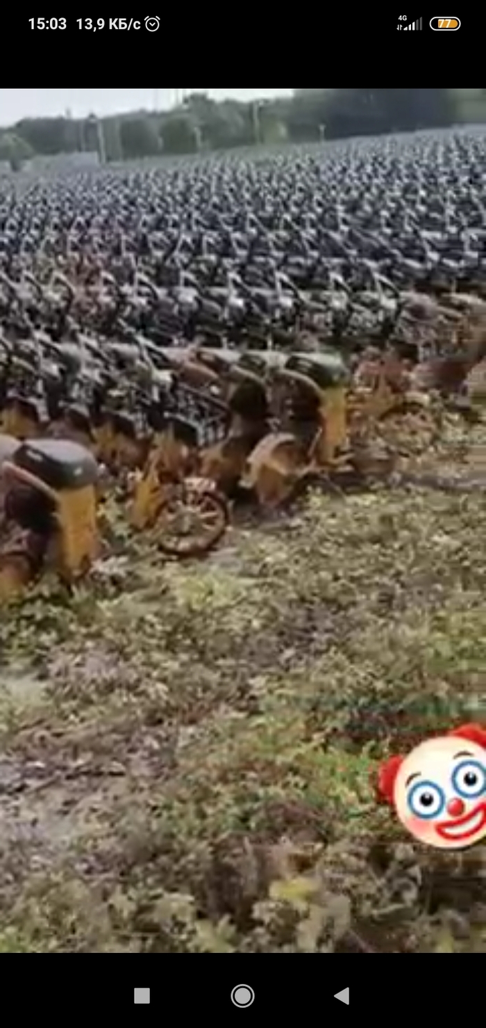 �������� "�����������" ���������������