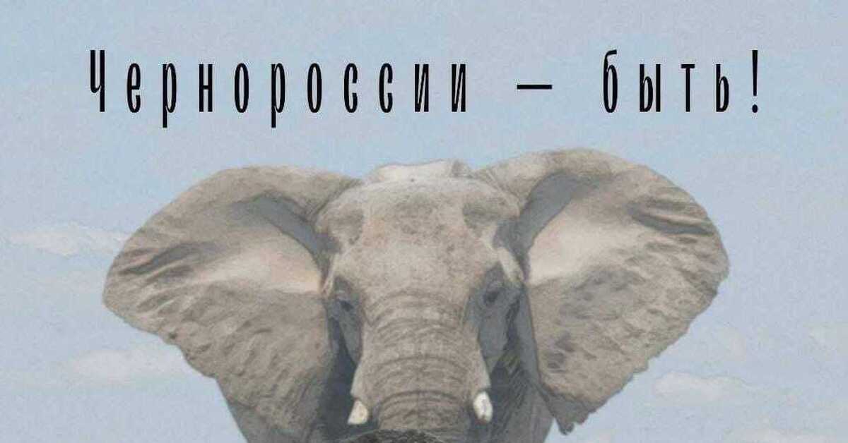 АССР или ЧССР? | Пикабу