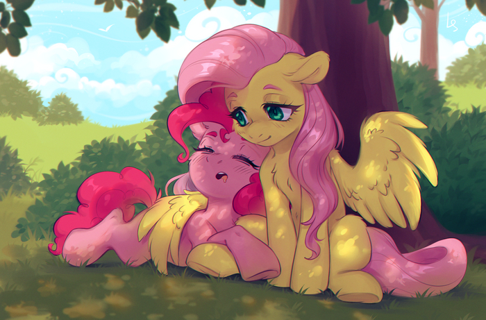    My Little Pony, Fluttershy, Pinkie Pie, Ponyart, 