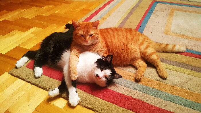 ����� �����