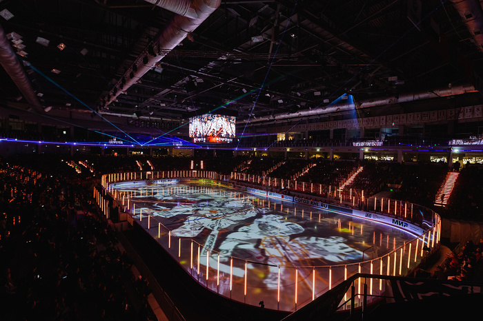 ����� ������ ������ � ������ 2023/2024