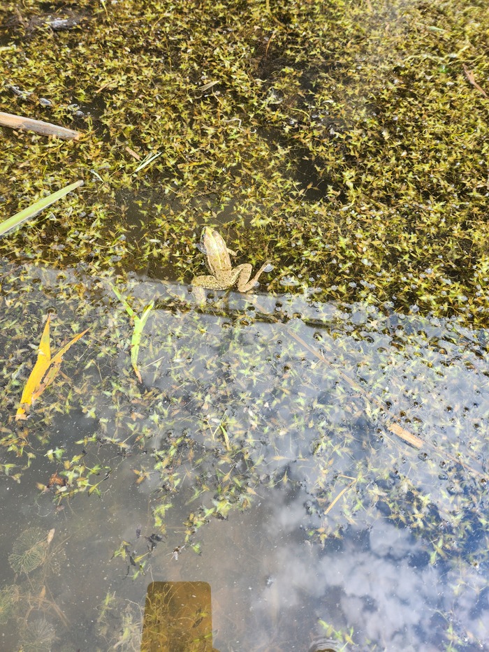 �������� �����