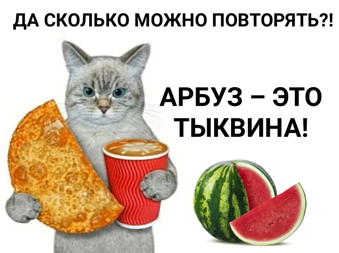 ������ #22