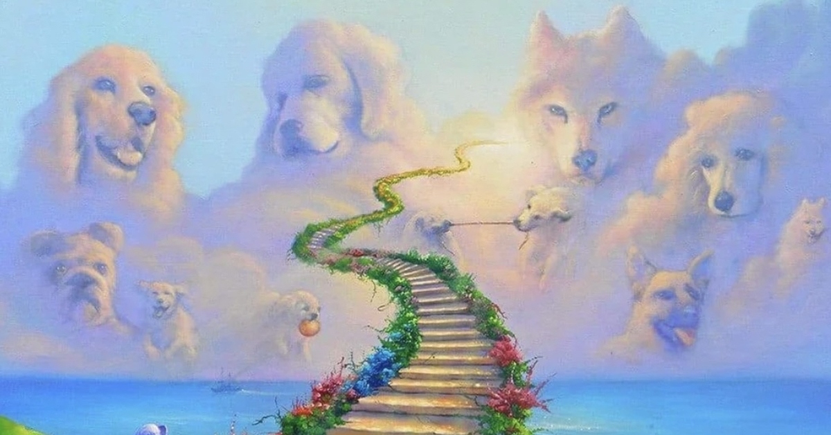 Что живу я как в раю песня. Собака на радуге. Собачий рай. Собака ушла на радугу. Мост радуги.
