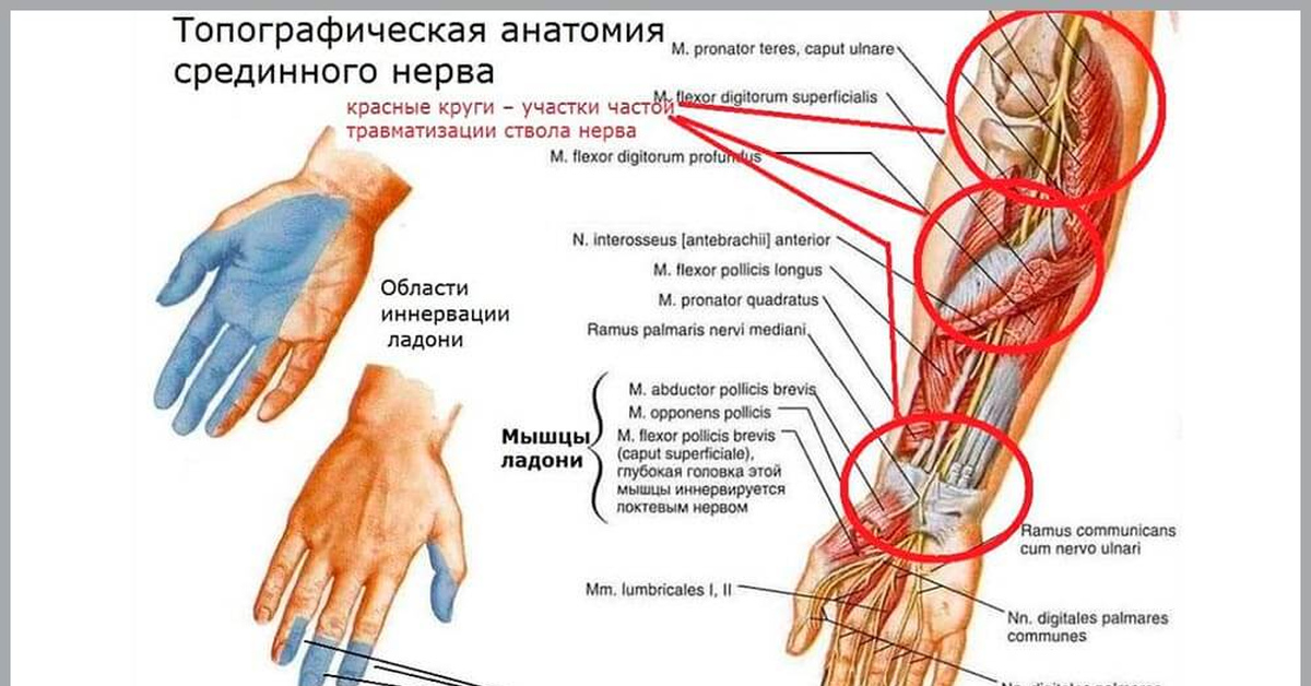 Игривые пальчики | Пикабу