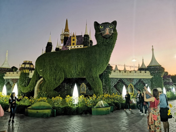 И днём и ночью кот зеленый...