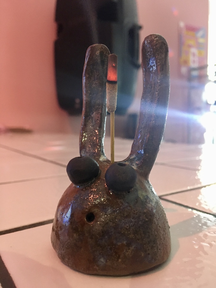 При желании и зайца можно научить курить