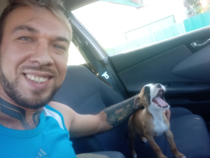 ���������� ��������