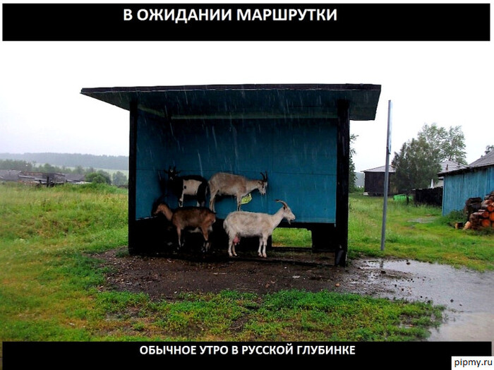 ���� ���� � ��� � ��� ����������. Ÿ ������