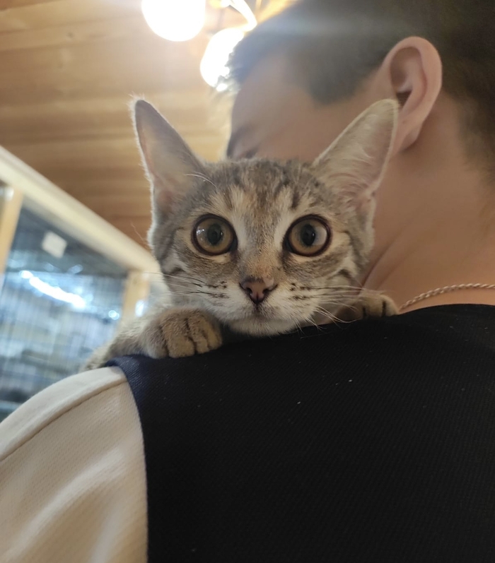 ����������� ����� ������� ���� ���� �����! ������