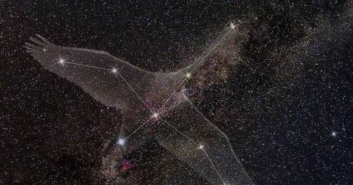 Летящее созвездие. Созвездие лебедь Денеб. Астеризм созвездия лебедь. Денеб звезда в созвездии лебедя. Млечный путь Созвездие лебедь.