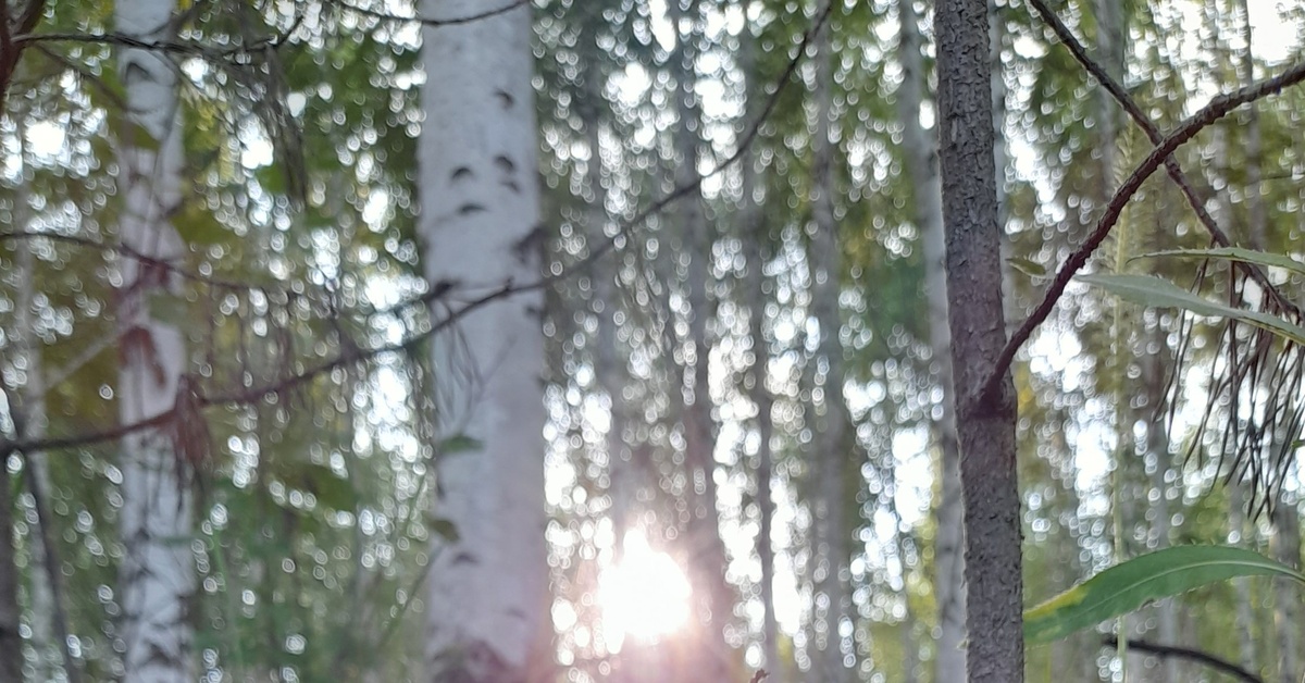 Назвался груздем - полезай в кузов | Пикабу