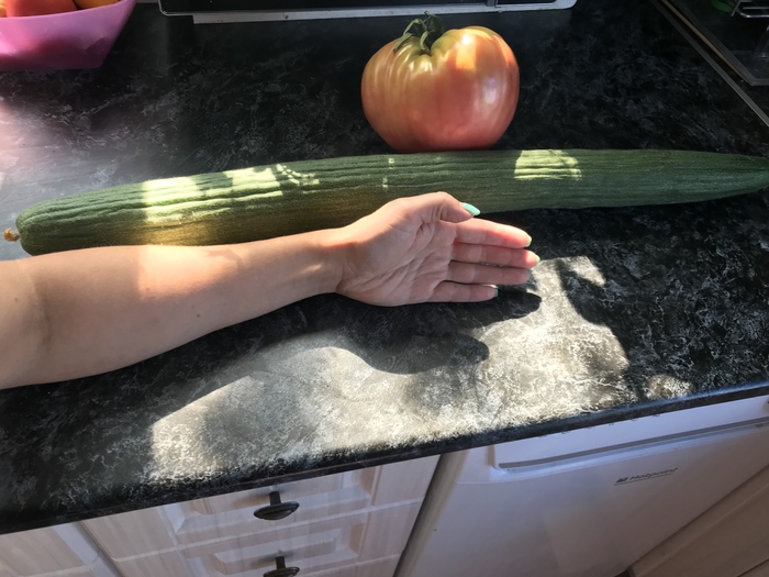 Овощи на максималках или огурец пикабушника