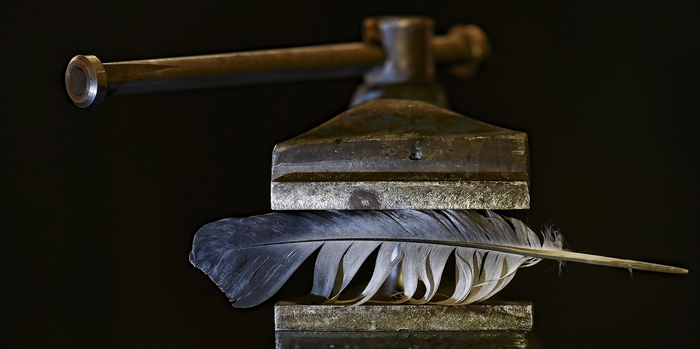 ��������