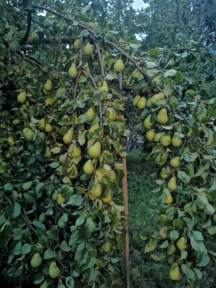 Что-то назревает