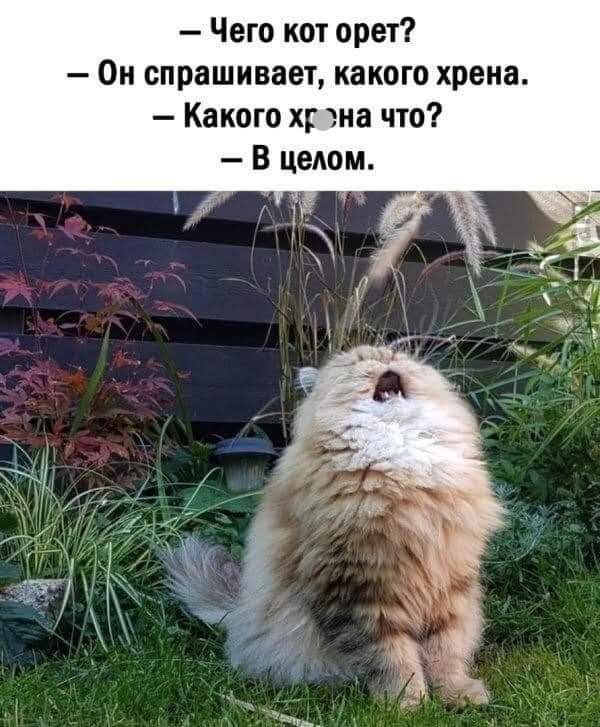 ...? , ,   , 