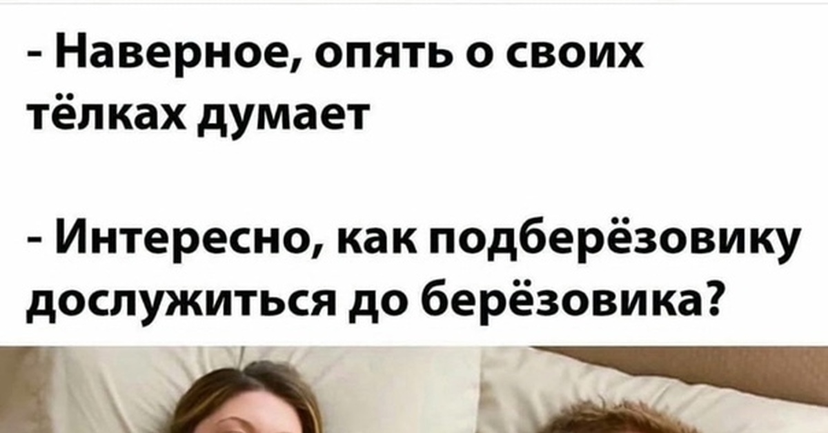 Телки мои телки | Пикабу