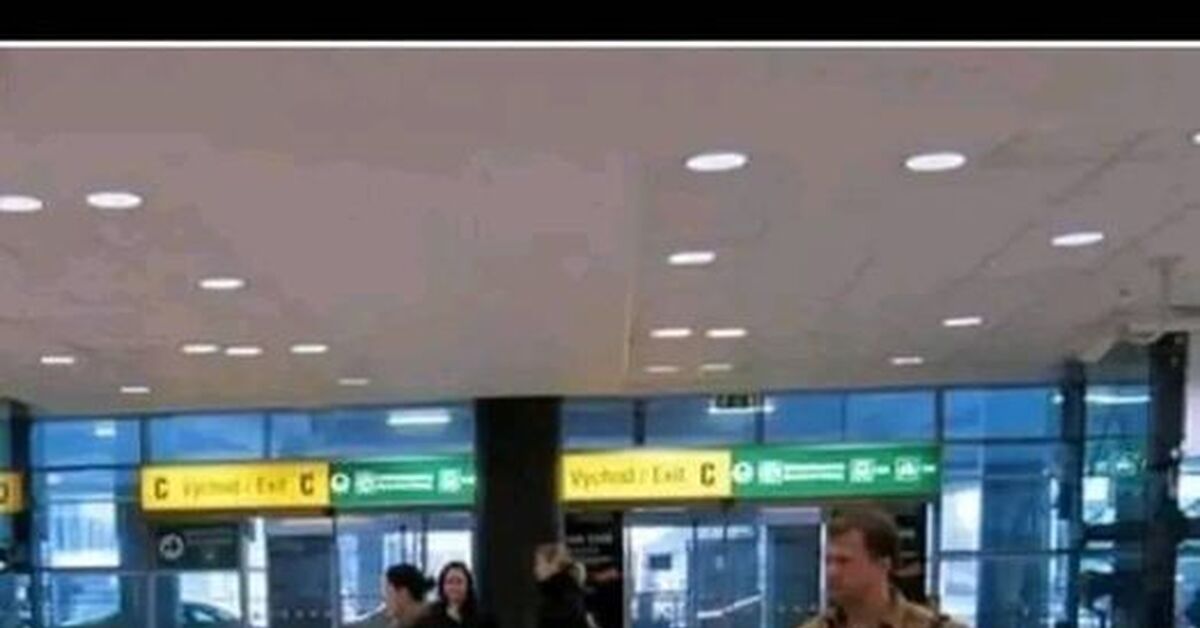 В ожидании Годо | Пикабу