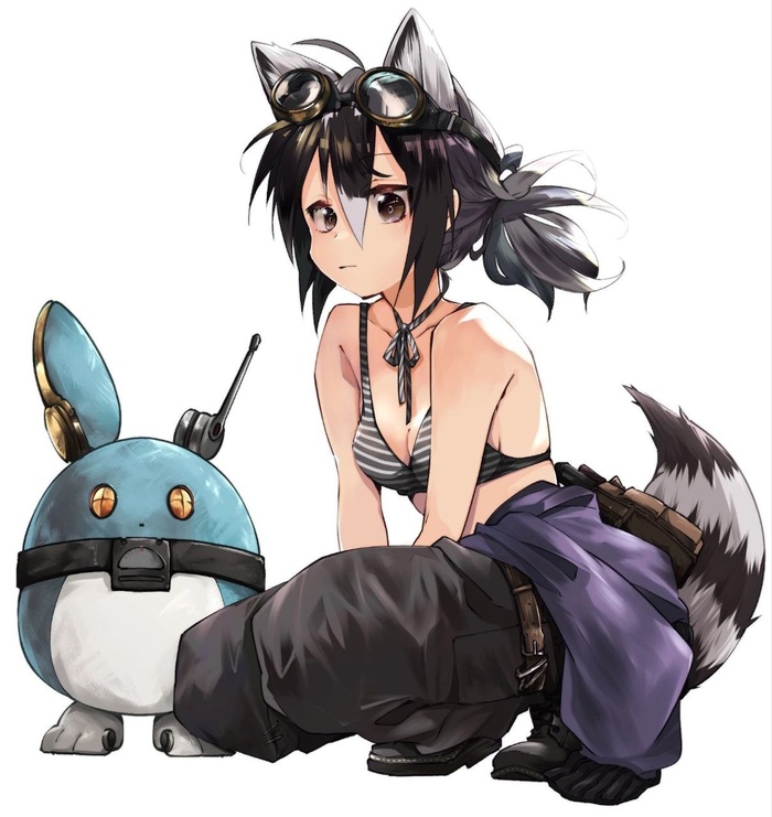 Raccoon Anime Art, , Common Raccoon, Kemono Friends