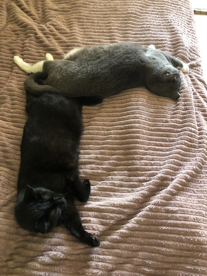 Мы буква «Г»