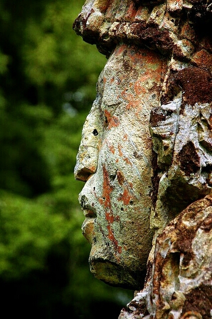 ��� ������� ����� ����, ���� ���� ��� �����