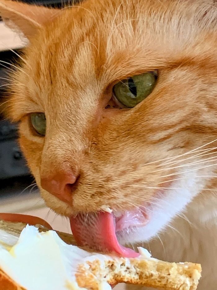 ��� �����, ��� � ����