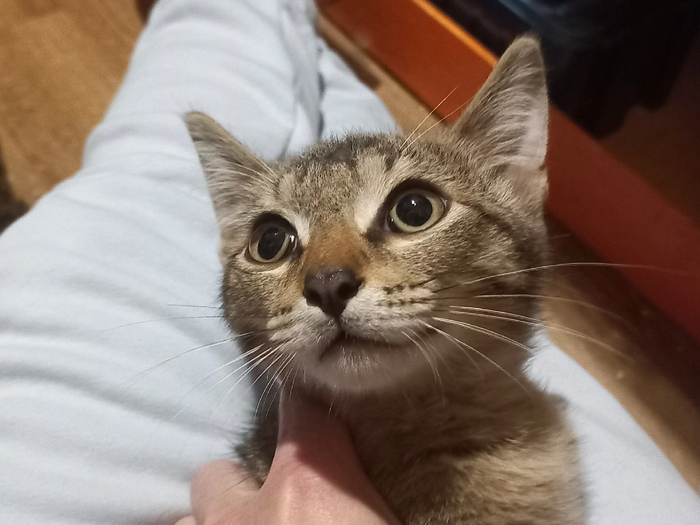      , , , , ,   , ,   , 