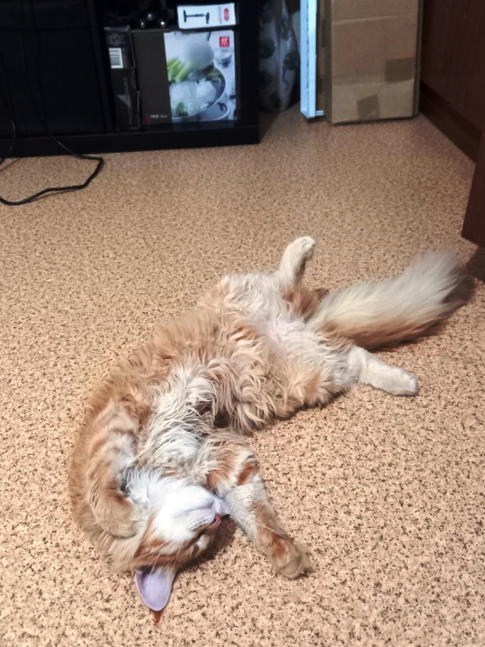 �������: � ����� ��� 40 �������� ���� ����������!!!