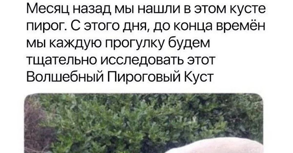 Ваще п0*уй | Пикабу