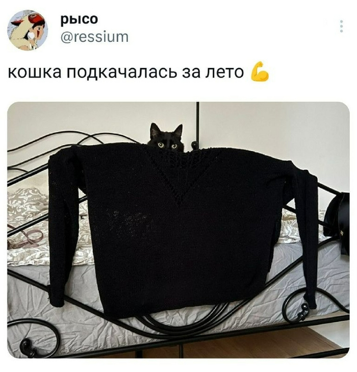 Спортик | Пикабу