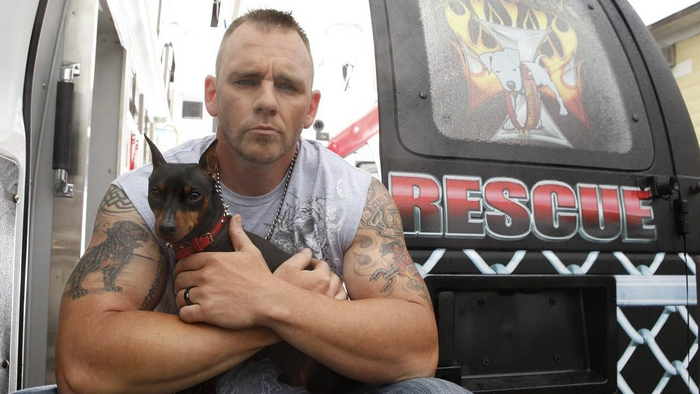 Байкеры Цивилизация, Мир, Котята, Длиннопост, Собака