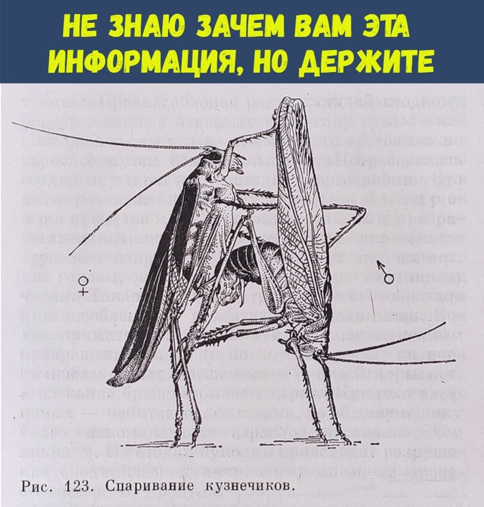 ������� ������������� �����������