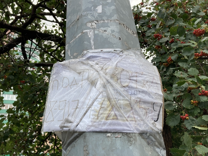 Подработка в офисе… | Пикабу