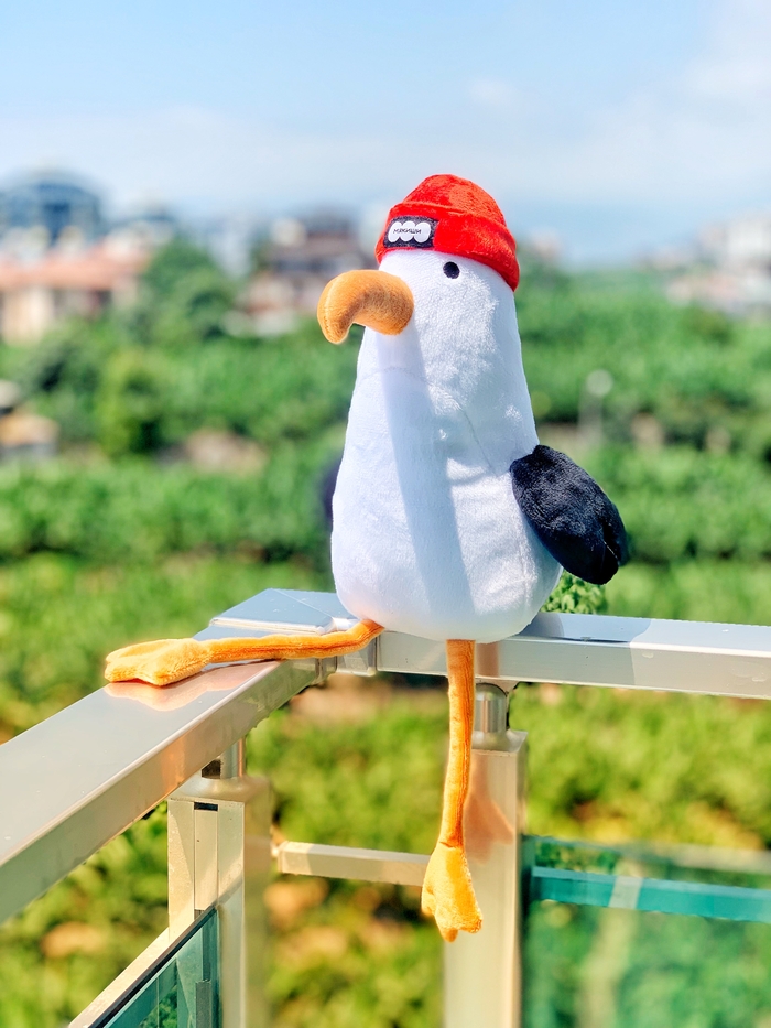 ��������� �� �����