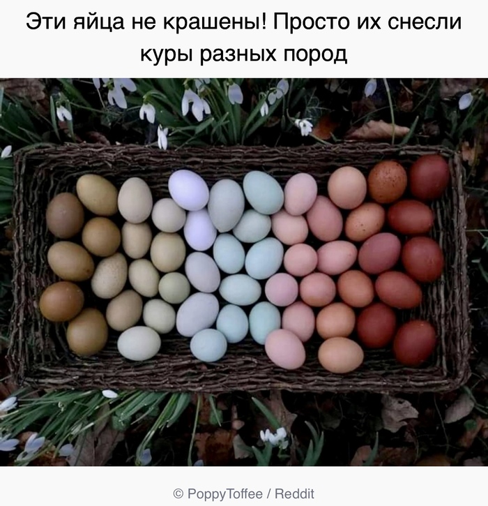  , ADME, Reddit,   , 