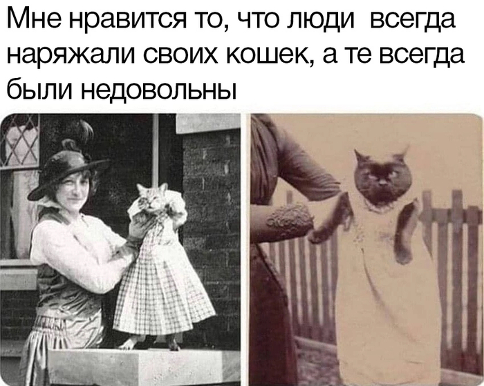     ,   , , , 