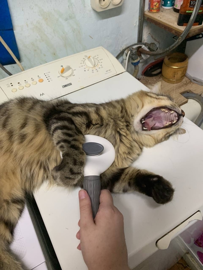 ���� ���� ���������