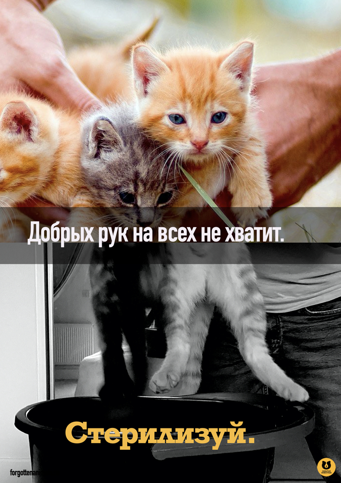      , , ,   , 